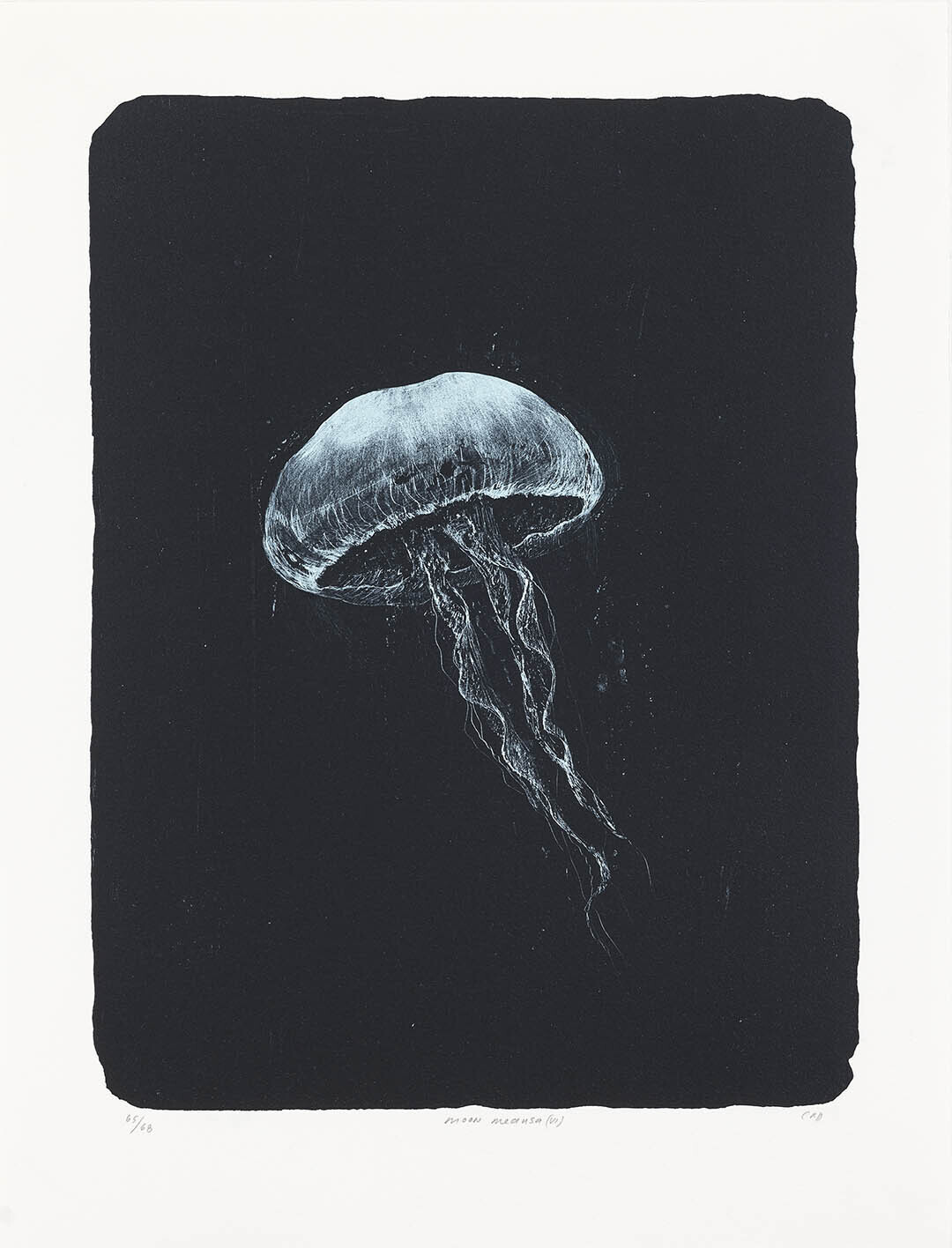 Moon Medusa (VI) - Lithograph