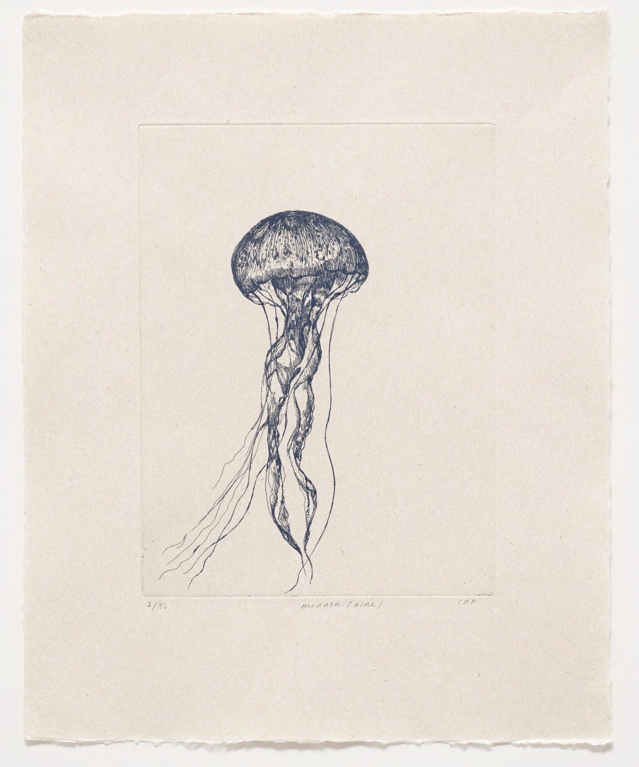 Medusa (Blue) - Etching