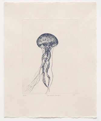 Medusa (Blue) - Etching