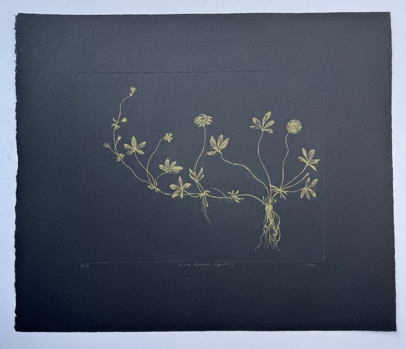 Wild Flower (Yellow)- Etching