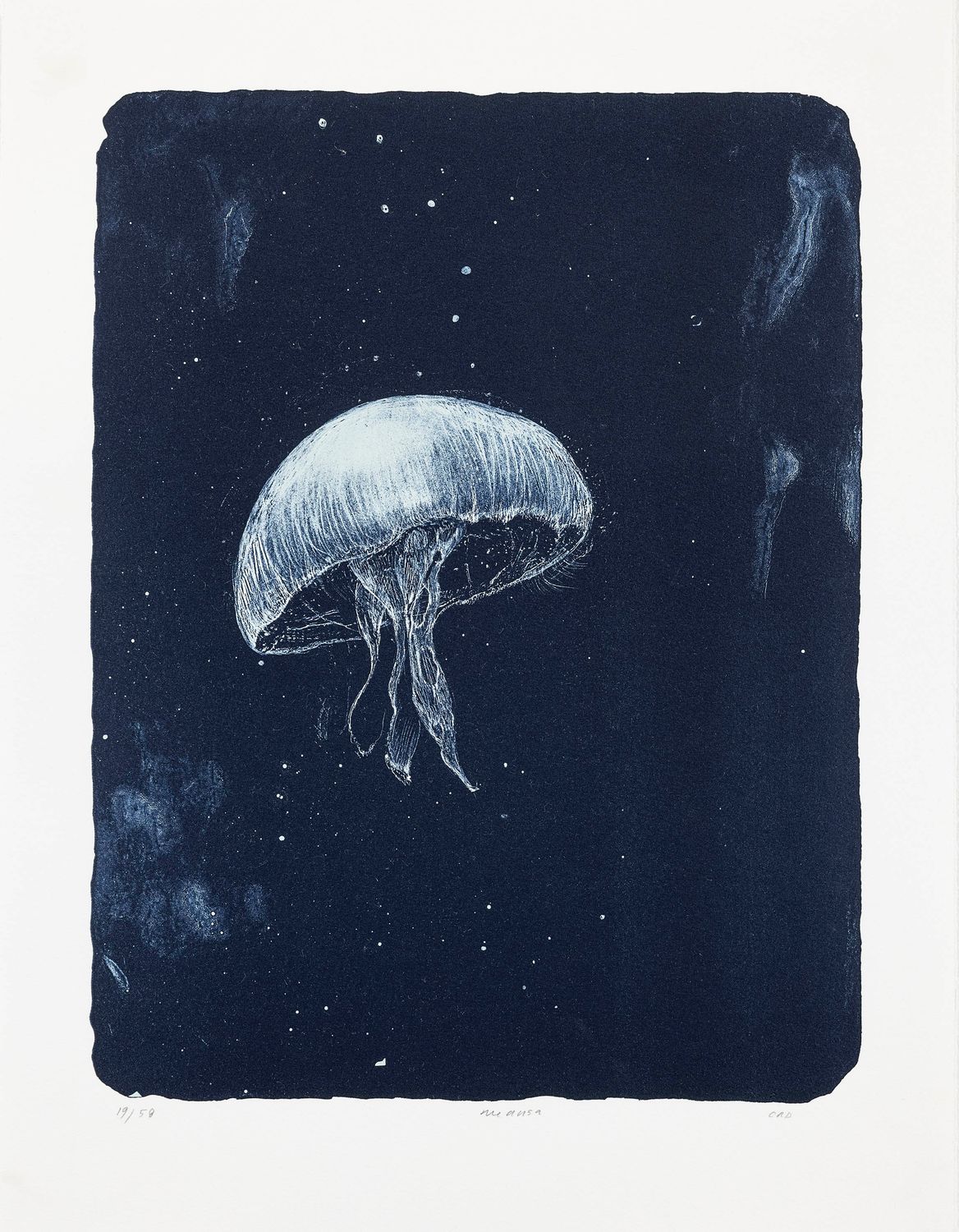Medusa - Lithograph