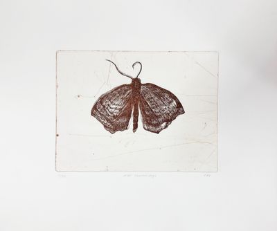 Nat Sommerfugl - Etching
