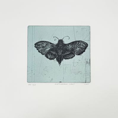 Natsværmer (Blå) - Etching