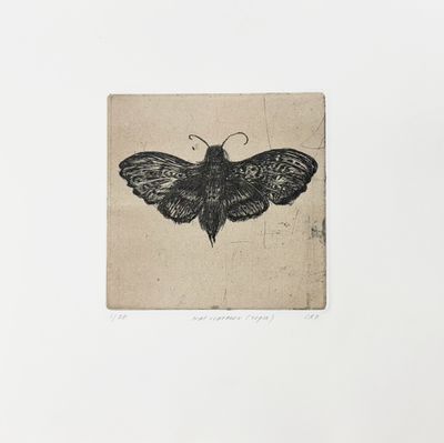 Natsværmer (Sepia) - Etching