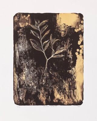 Laurus Nobilis - Lithograph (AP 4/4)