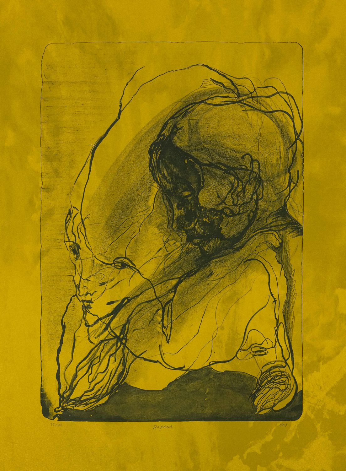 Daphne - Lithograph