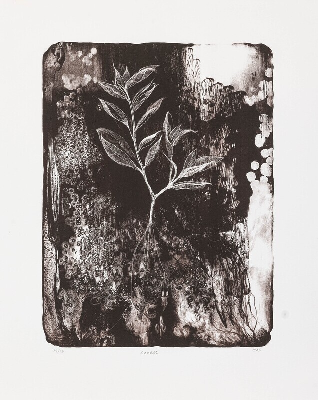 Laurel - Lithograph