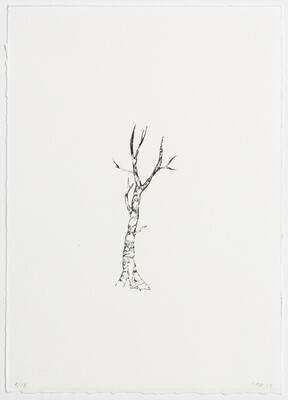 Trickster (No 2) - Lithograph