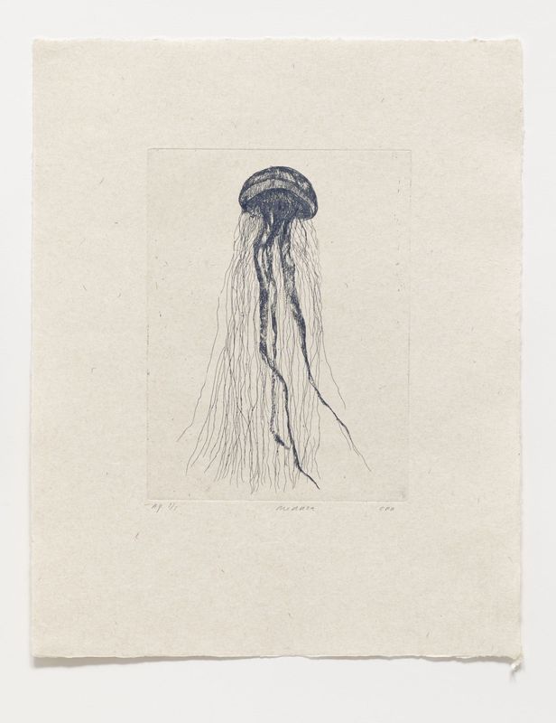 Medusa - Etching (Ed 2/30)