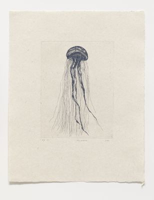 Medusa - Etching