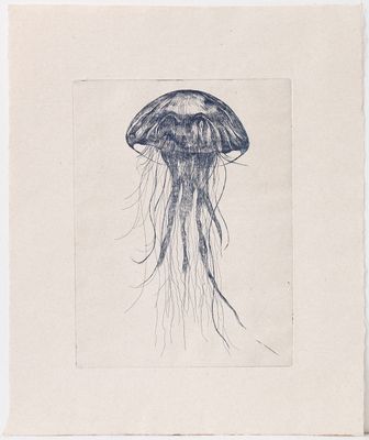 Blue Medusa  - Etching (ea)