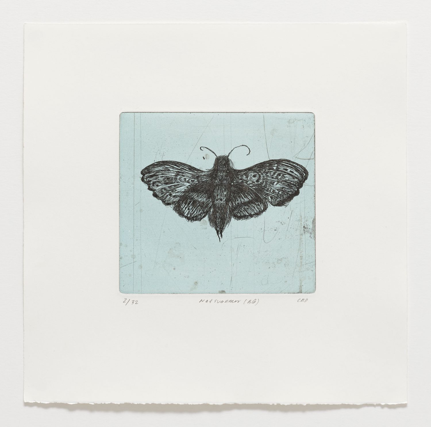 Natsværmer (Blå) - Etching