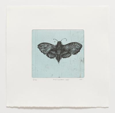 Natsværmer (Blå) - Etching