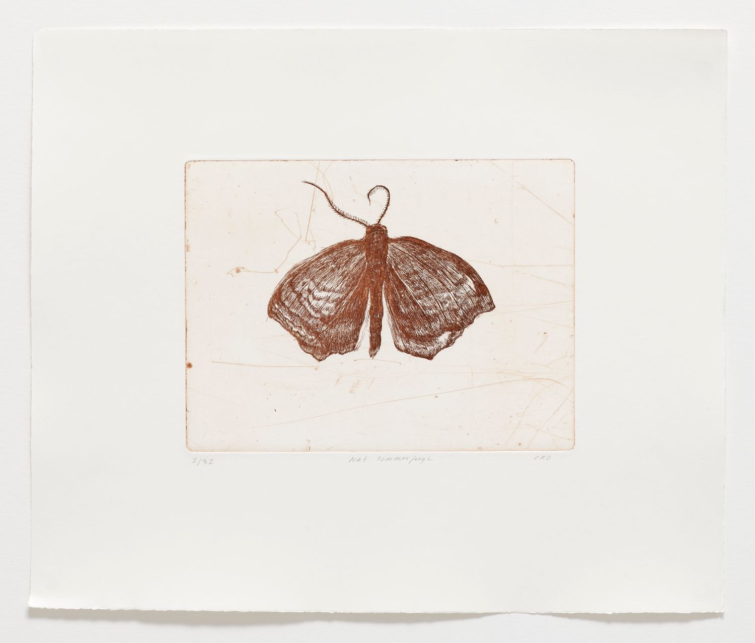 Nat Sommerfugl - Etching