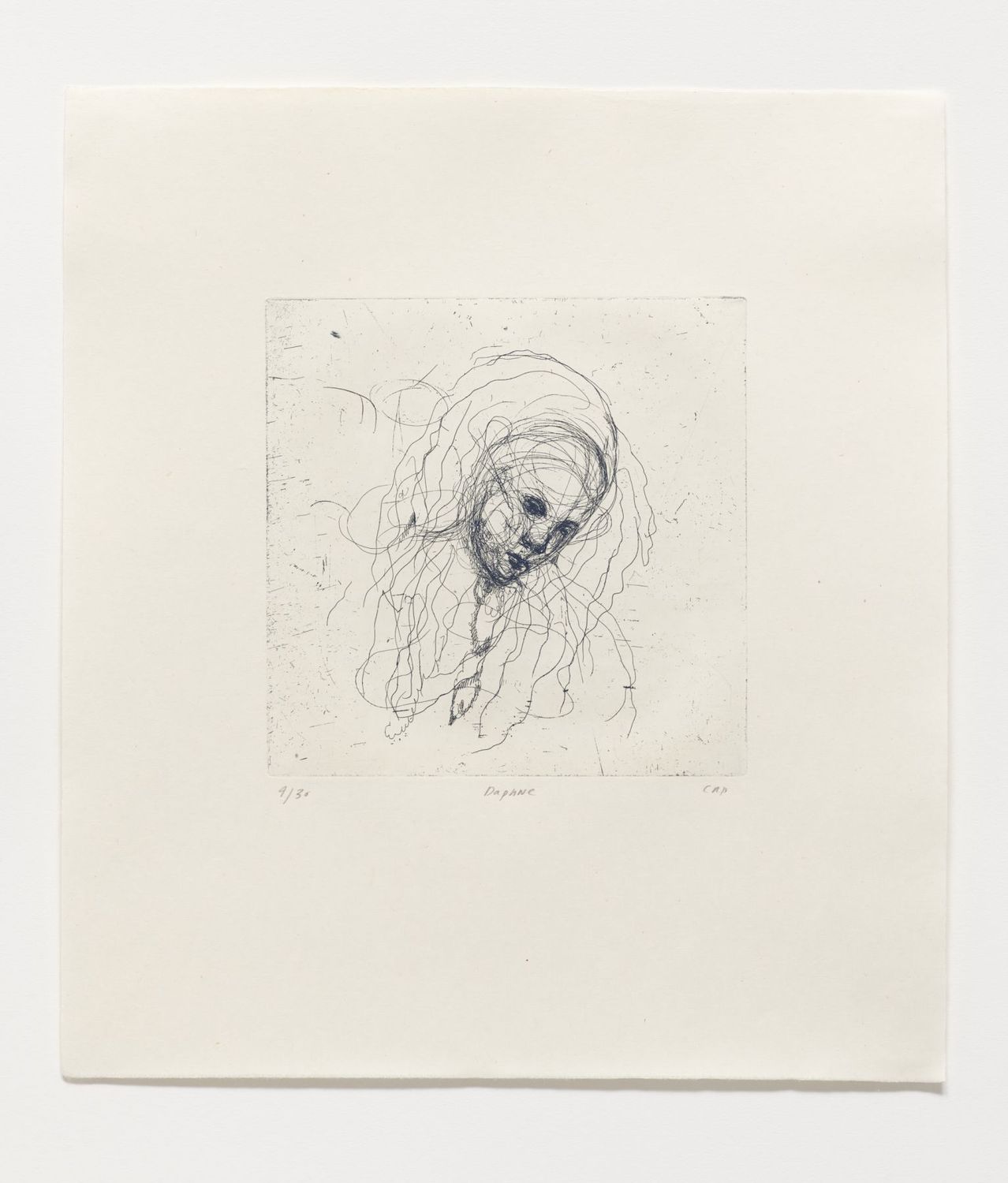 Daphne (Blue) - Etching