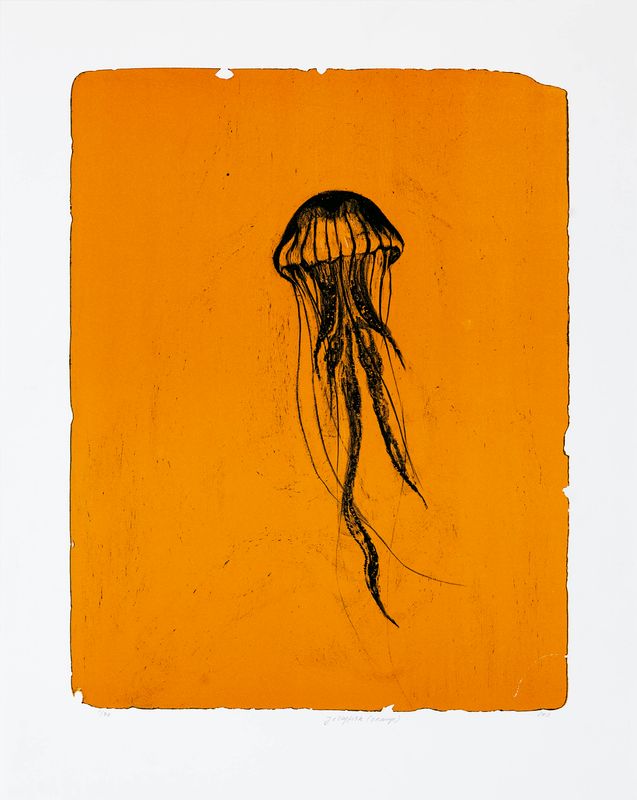Jellyfish (Orange) - Lithograph