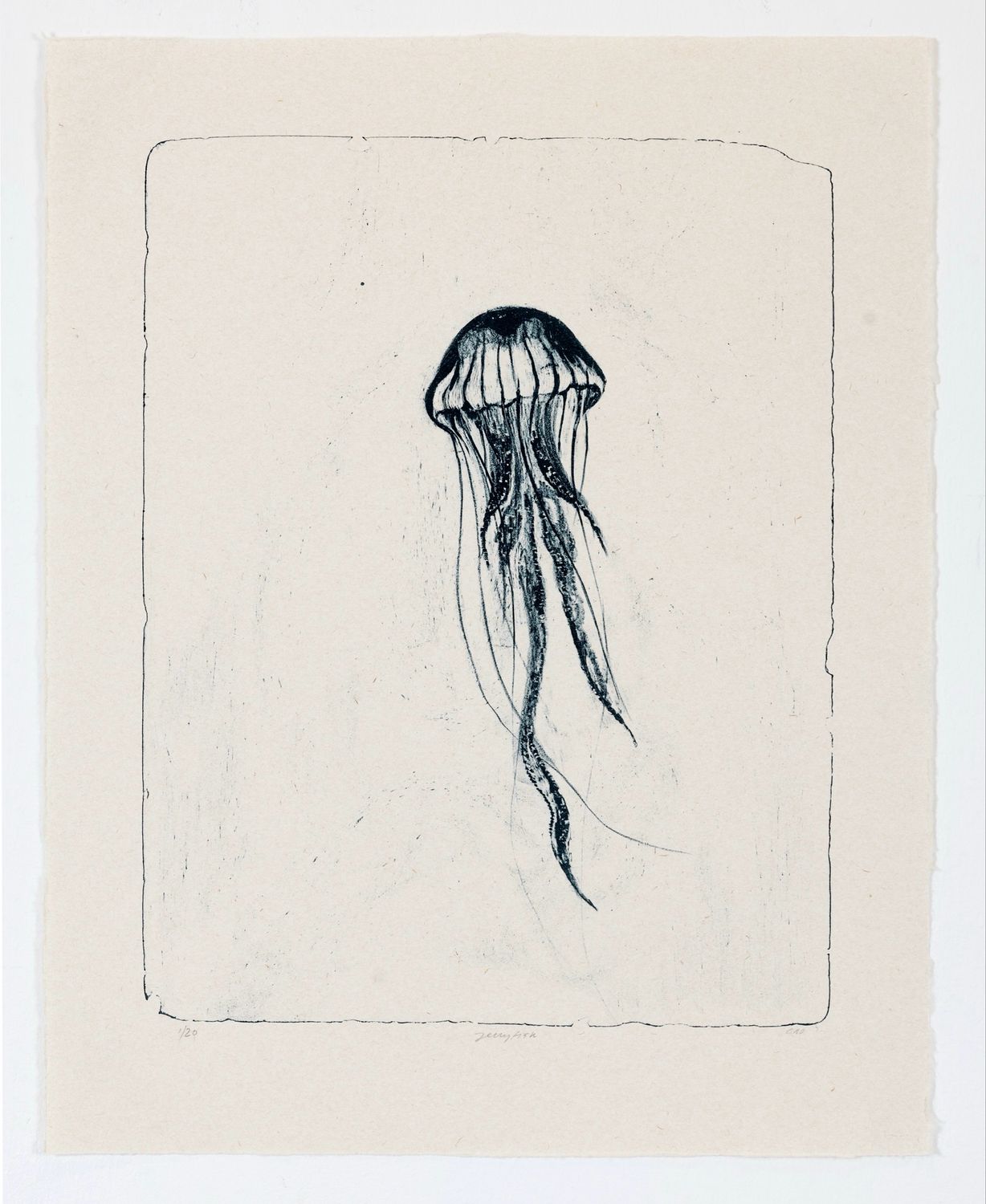 Jellyfish (KOZO) - Lithograph