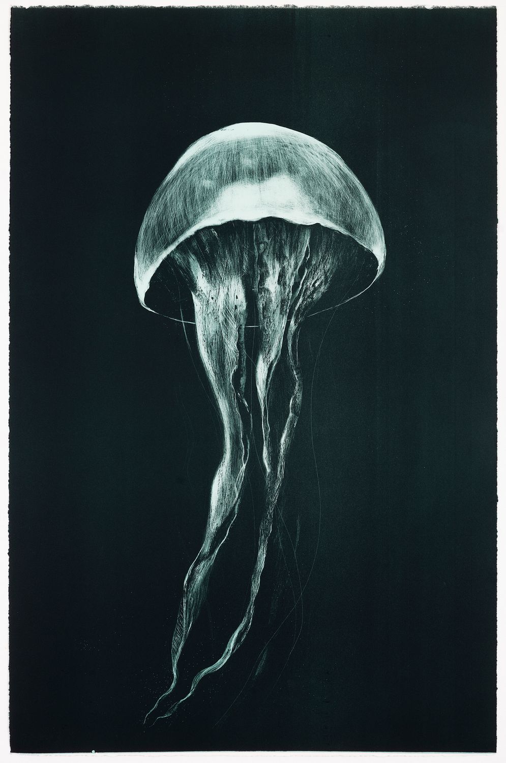 Medusa (I) (Large) - Lithograph