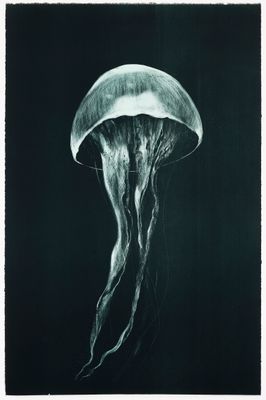 Medusa (I) (Large) - Lithograph