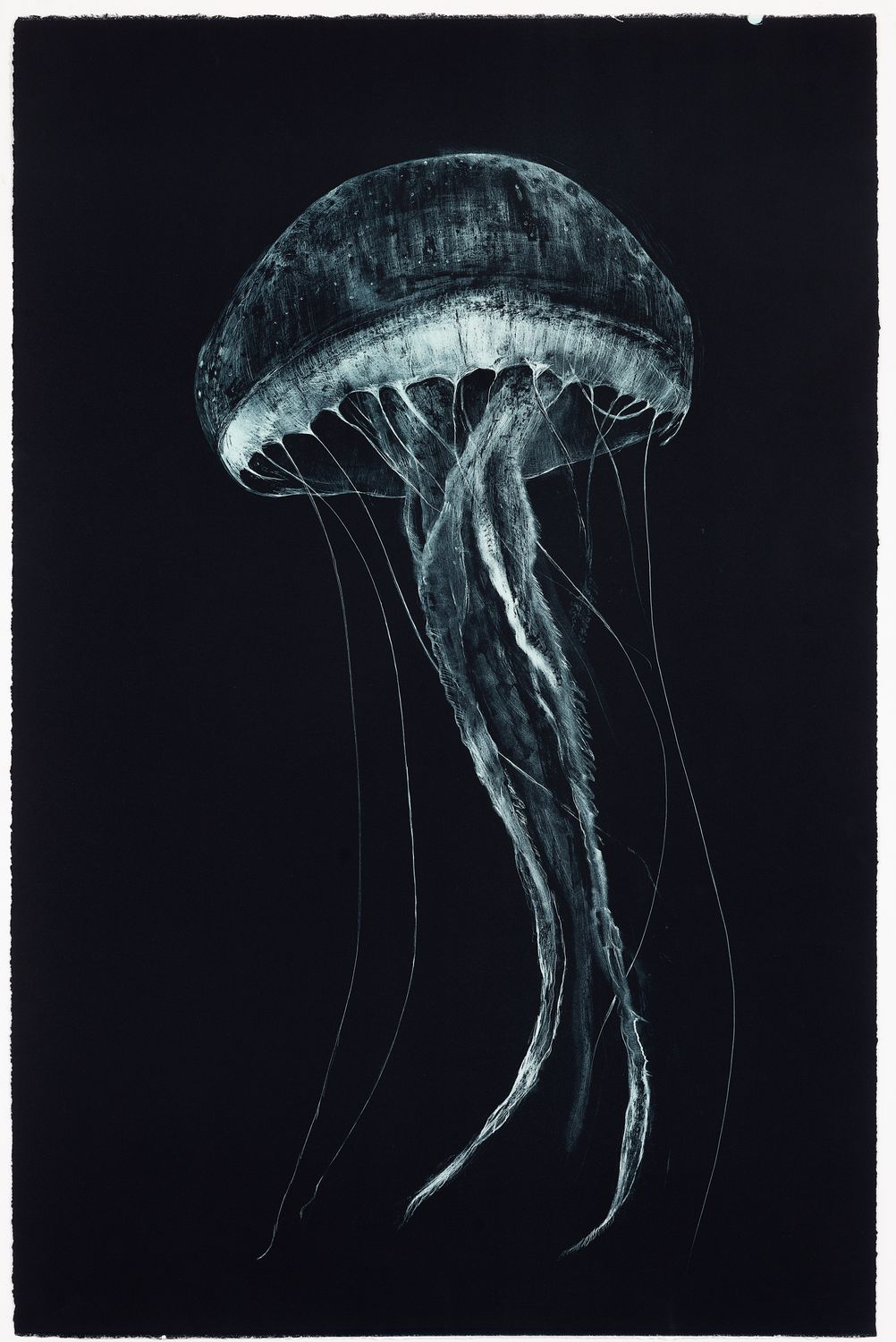 Medusa (II) (Large) - Lithograph