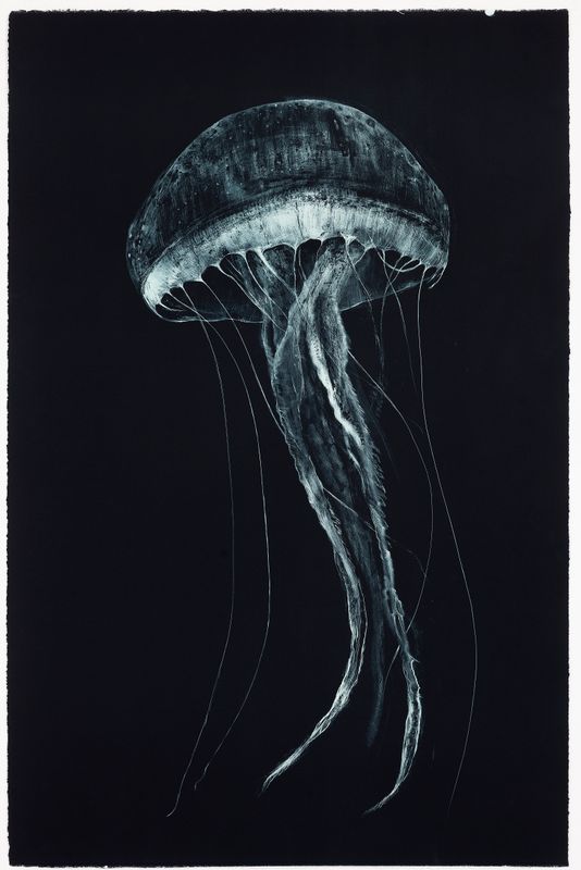 Medusa (II) (Large) - Lithograph