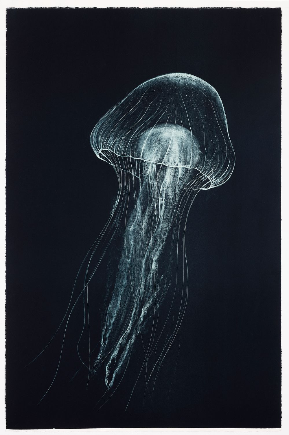 Medusa (III) (Large) - Lithograph