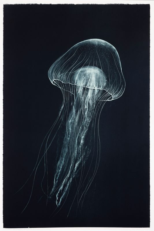 Medusa (III) (Large) - Lithograph
