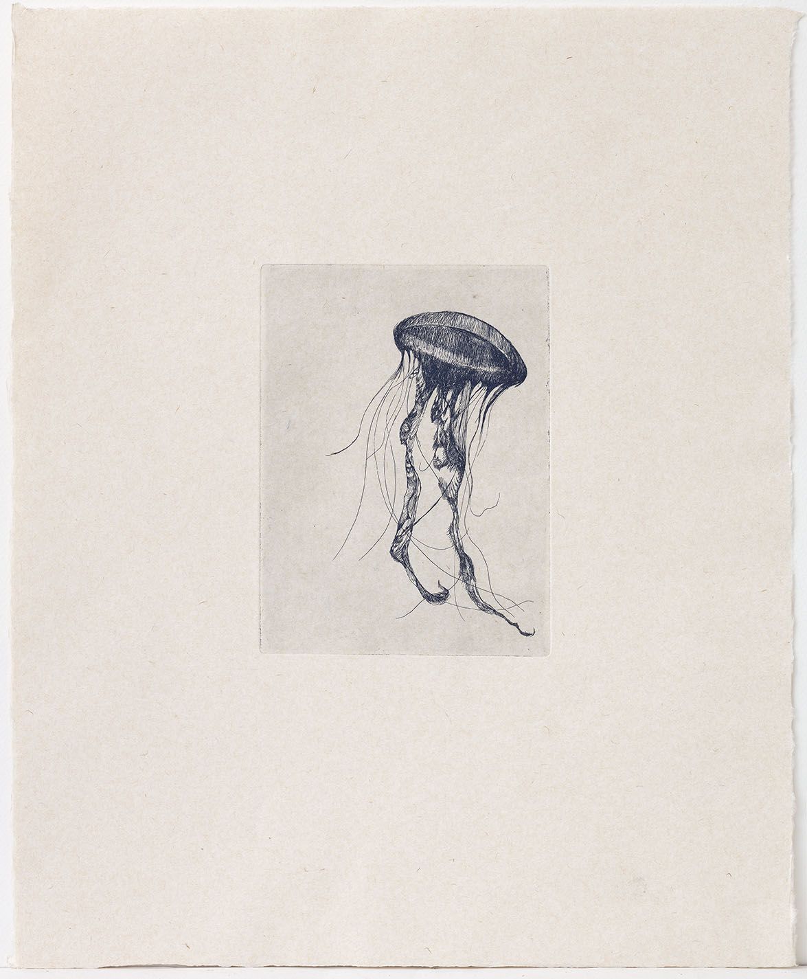 Totem Jellyfish (II) AP 1/1 - Etching