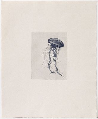 Totem Jellyfish (II) AP 1/1 - Etching