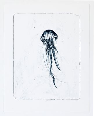Jellyfish - Lithograph