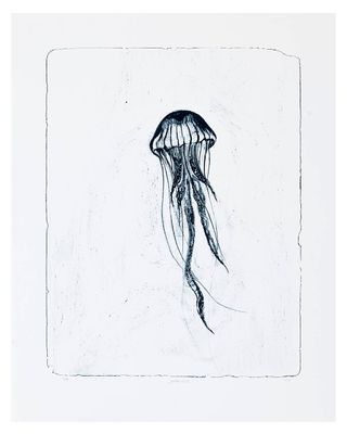 Jellyfish - Lithograph