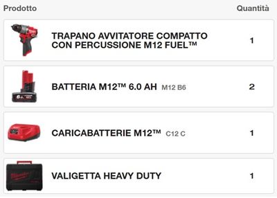 TRAPANO AVVITATORE CON PERCUSSORE COMPATTO 12V, 2 BATTERIE 6Ah, CARICABATTERIA