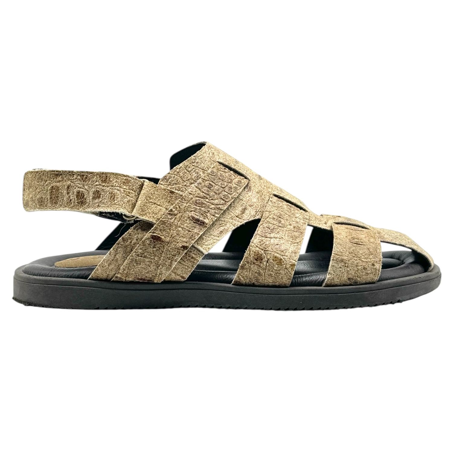 CROCO