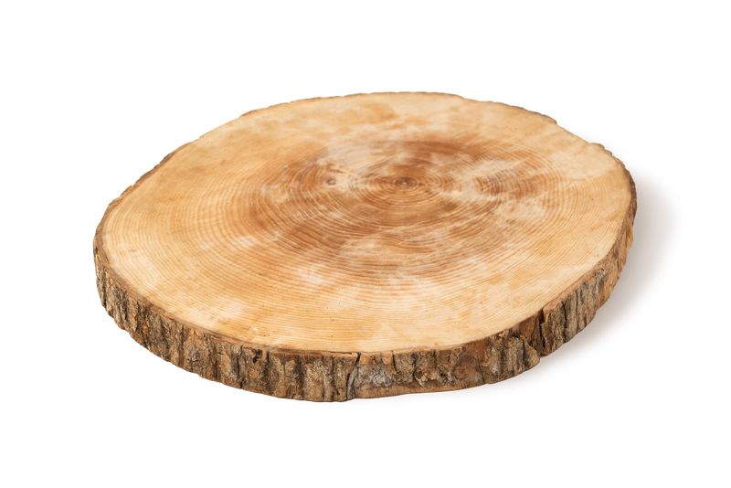 Tagliere  Legno Rotondo Mod. Corteccia