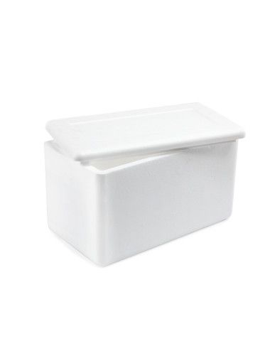 Polibox Bianco contenitore Isotermico 60x39xh29 cm con Coperchio
