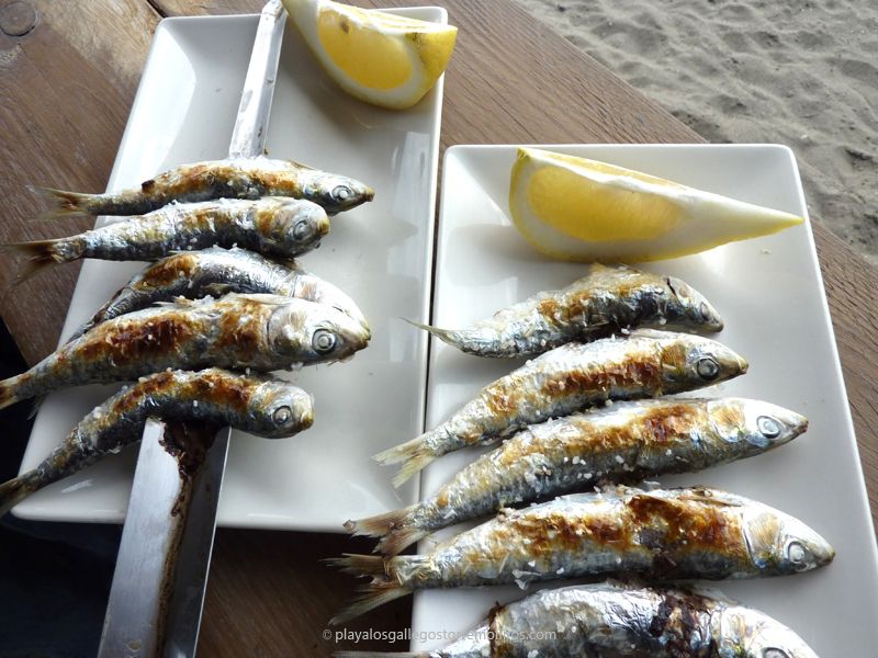 Espeto Acero Inoxidable Spetera Espeto Acero Inoxidable para Pescados (sardinas, lubina, Dorada) y Carnes Barbacoa - 60cm