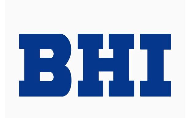 BHI Single 1 zone 36000-BTU -BTU Ductless Mini Split Heat Pump Included 230-Volt