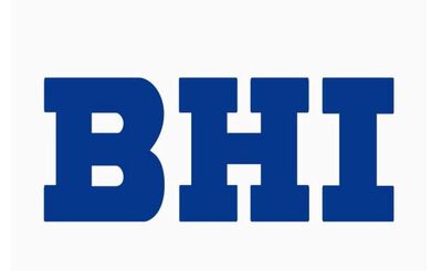 BHI Single 1 zone 36000-BTU -BTU Ductless Mini Split Heat Pump Included 230-Volt