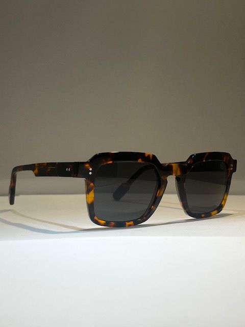 Anne et Valentin Sinatra