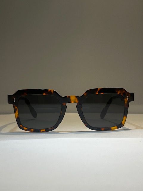 Anne et Valentin Sinatra