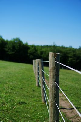 Wood Post