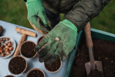 Garden &amp; Work Gloves