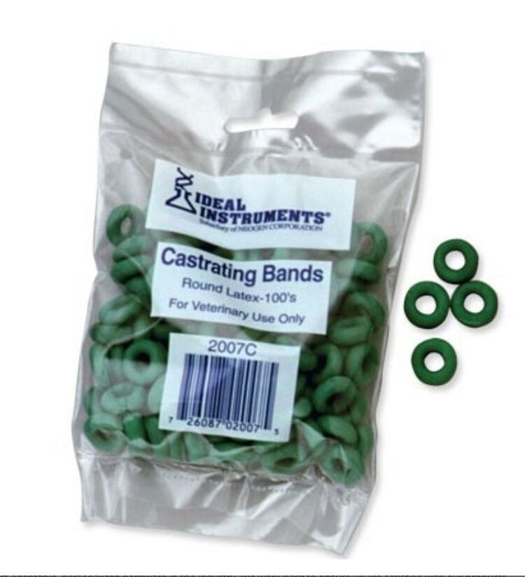 Latex Castrating Bands