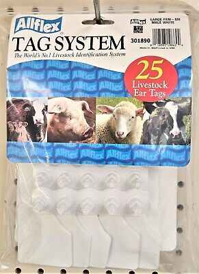 Allflex Global Large Blank Calf Ear Tags 25 Count White