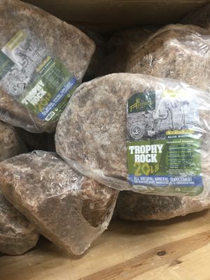 Trophy Rock