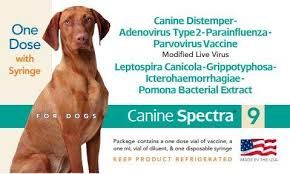 Spectra 9 Dog Vaccine with Syringe 9 in 1
