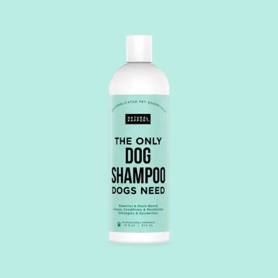 Natural Rapport The Only Dog Shampoo Dogs Need 16oz