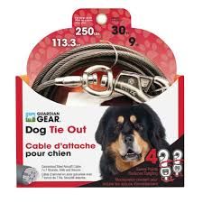 Boss Pet Cable Tie-Out 30ft for Dogs up to 250lbs