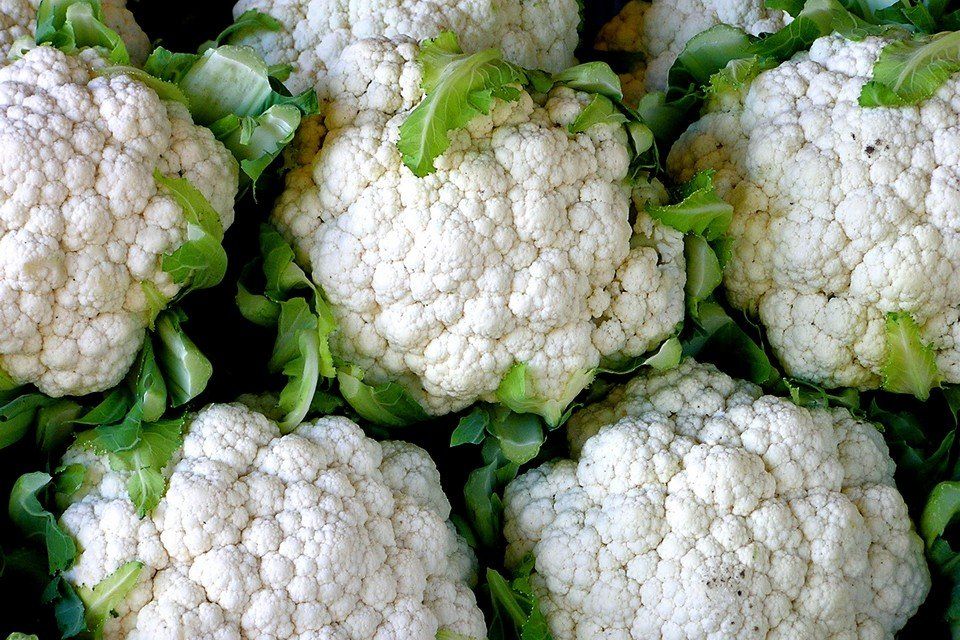 Cauliflower Snowball 1/16 oz Pack