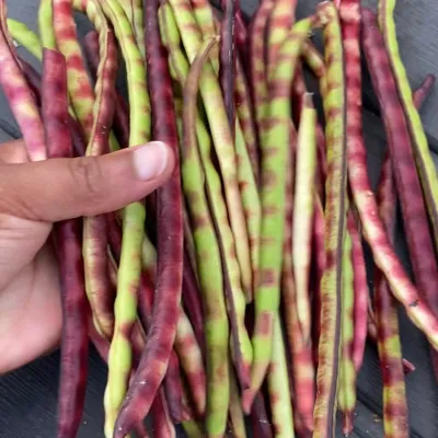 Mississippi Pinkeye 2 Purplehull Peas (1lb bag)